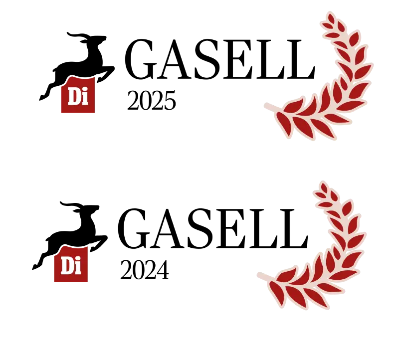 Two award-style logos on a white background, each showing a black deer silhouette, a red square with white 'Di', the word GASELL, and a year: 2025 on the top and 2024 on the bottom. Each logo is accompanied by a red laurel branch graphic.